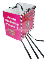 Teenager Birthday theme Pinata