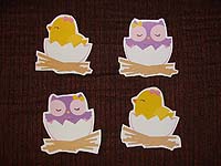 Duck and owl hatchling in different colors