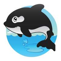 Orca whale