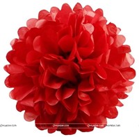 10inch Red Paper Pom poms