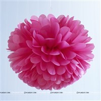 Neon Pink Pom Pom