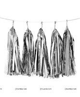 Silver Tassels