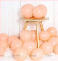 Pastel Orange Balloons (Pack of 20)