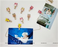 Owl Wooden Clip