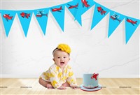 Aeroplane Theme Triangle Bunting (10 ft )