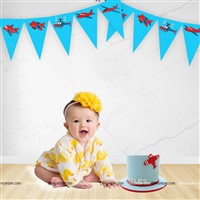 Aeroplane theme Triangle buntings