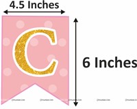 Baby Girl Welcome Home Foil Decor Kit Pink (Pack of 45 pcs)