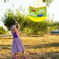 Car Theme Pinata