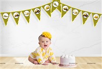 Candyland Theme Triangle Bunting (8 ft )