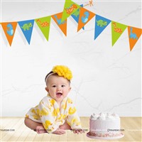 Dinosaur Theme Triangle Bunting (10 ft )