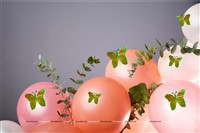 Green & Orange Butterfly Decor Stickers- 1 Set