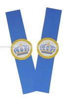 Little Prince Birthday theme Wristbands