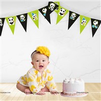 Panda Triangle Bunting (10ft)