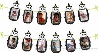 Panda Theme Photo Bunting