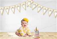 Unicorn theme Buntings (10 ft)