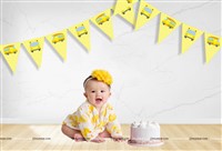 Wheels On a BusTheme Triangle Bunting (10 ft)